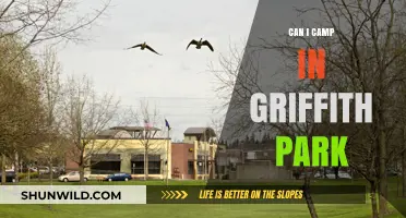 Exploring Griffith Park: Camping Rules, Tips, and Alternatives for Visitors