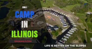 Exploring Illinois: Top Camping Spots and Essential Tips for Outdoor Adventures