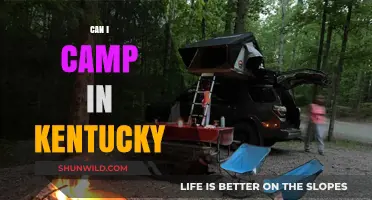 Exploring Kentucky's Great Outdoors: Camping Options and Tips for Visitors
