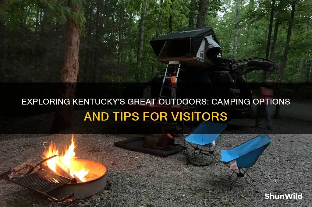 can i camp in kentucky