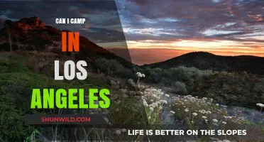 Camping in LA: Discover the Best Spots in Los Angeles