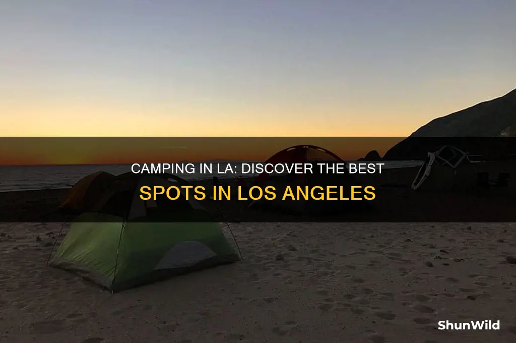 can i camp in los angeles