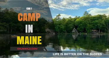 Exploring Maine's Great Outdoors: A Guide to Camping in Maine