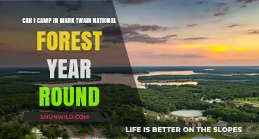 Year-Round Camping in Mark Twain National Forest: What You Need to Know