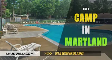 Exploring Maryland's Campsites: Where and How to Camp Legally