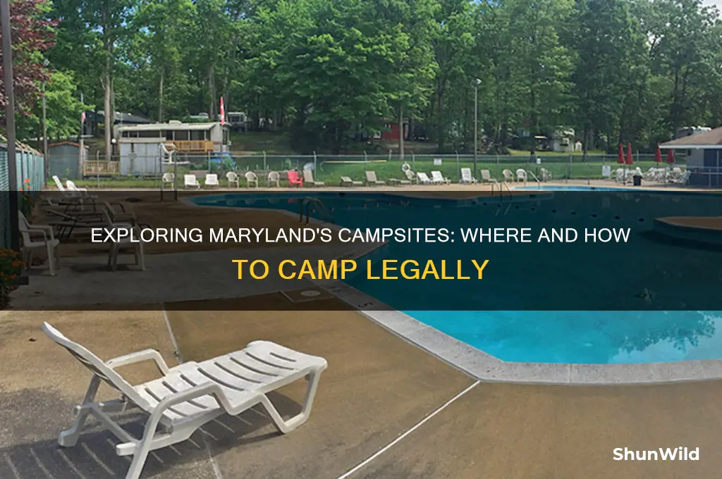 can i camp in maryland