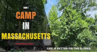 Exploring Massachusetts: Best Camping Spots and Tips for Outdoor Adventures