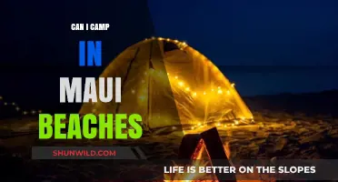 Camping on Maui Beaches: Rules, Tips, and Best Spots to Stay