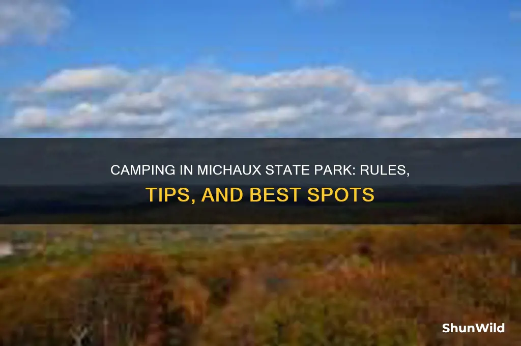 can i camp in michaux state park
