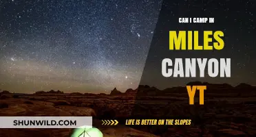 Camping in Miles Canyon, YT: A Complete Guide for Adventure Seekers