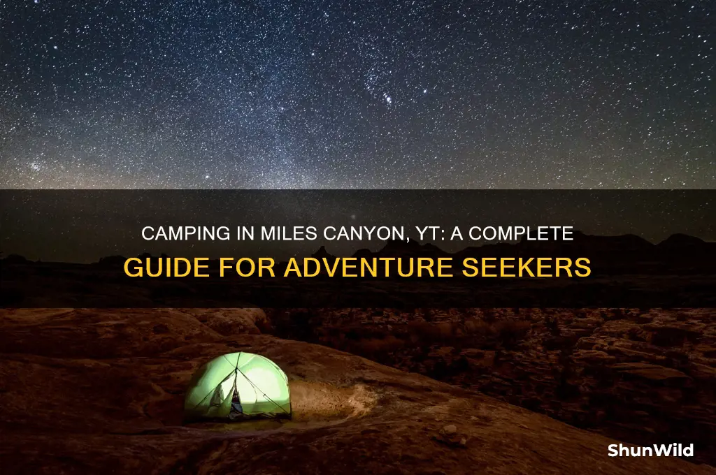 can i camp in miles canyon yt