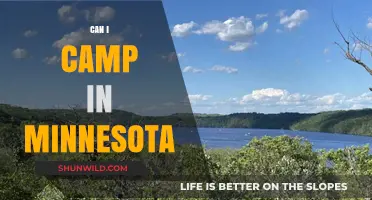 Exploring Minnesota's Great Outdoors: Camping Tips and Top Spots