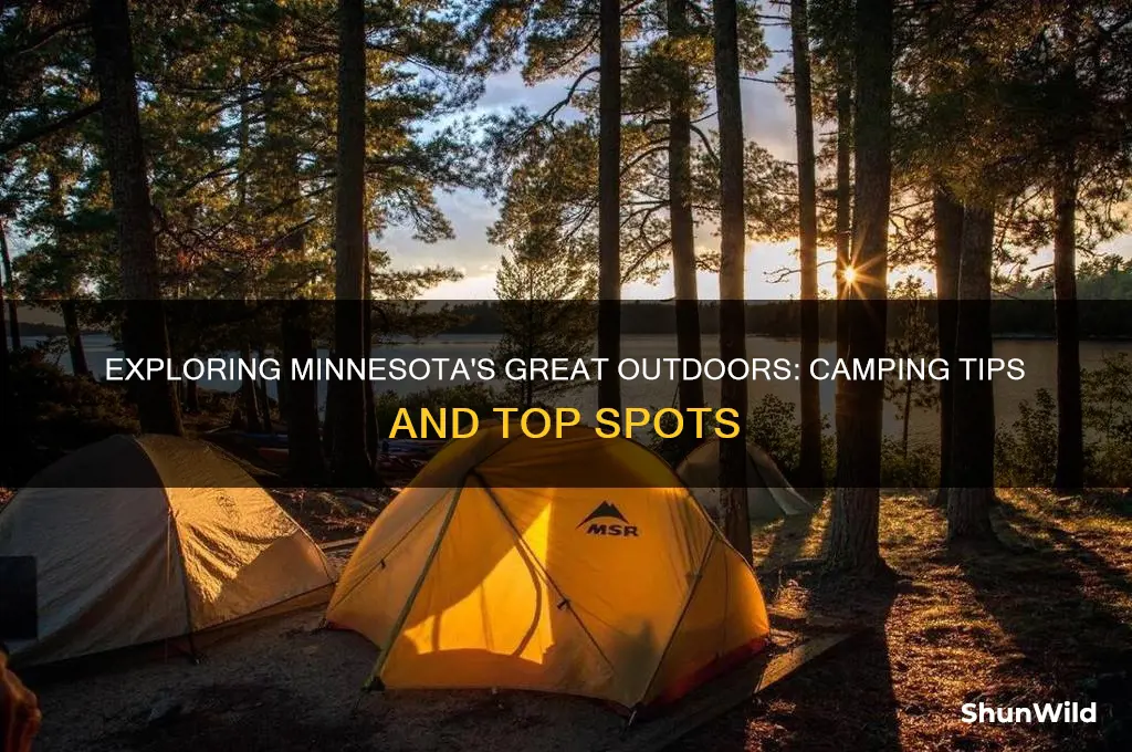 can i camp in minnesota