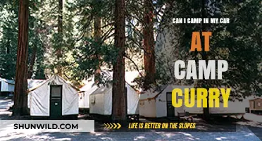 Camping in Your Car at Camp Curry: What You Need to Know