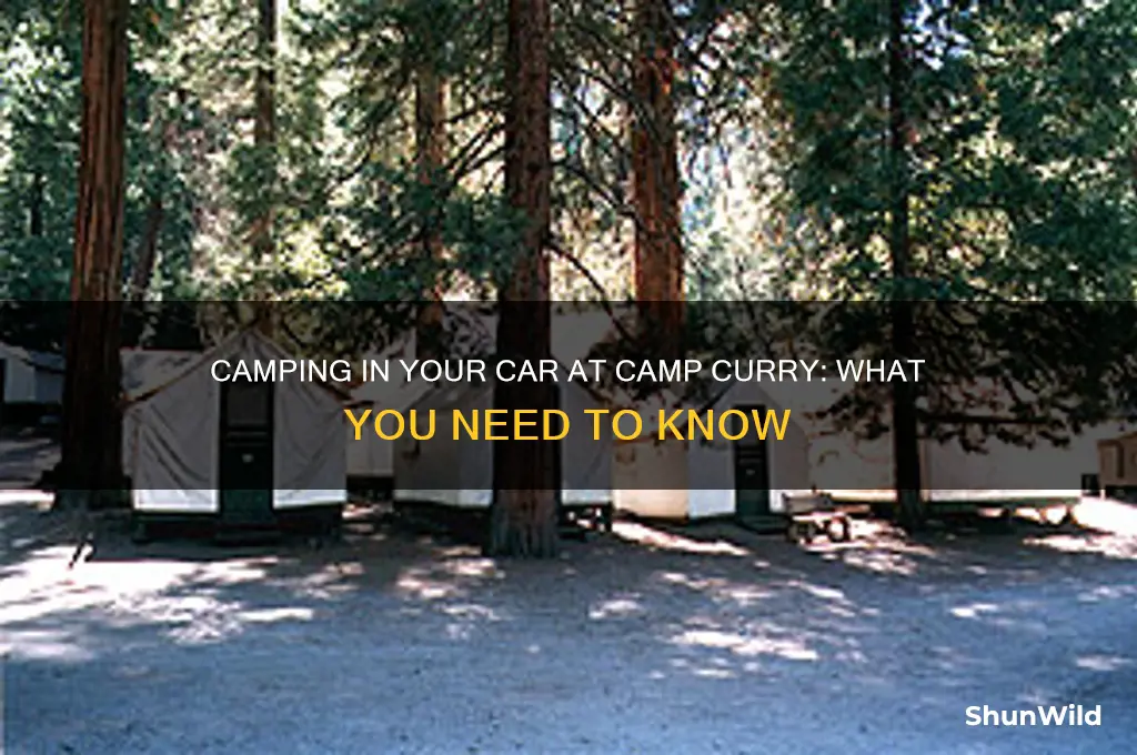 can i camp in my car at camp curry