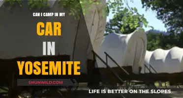 Car Camping in Yosemite: Rules, Tips, and Best Spots