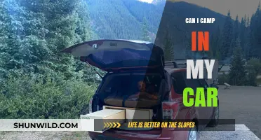 Car Camping 101: Tips for Comfortable Overnight Stays in Your Vehicle