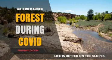 Camping in National Forests During COVID: What You Need to Know