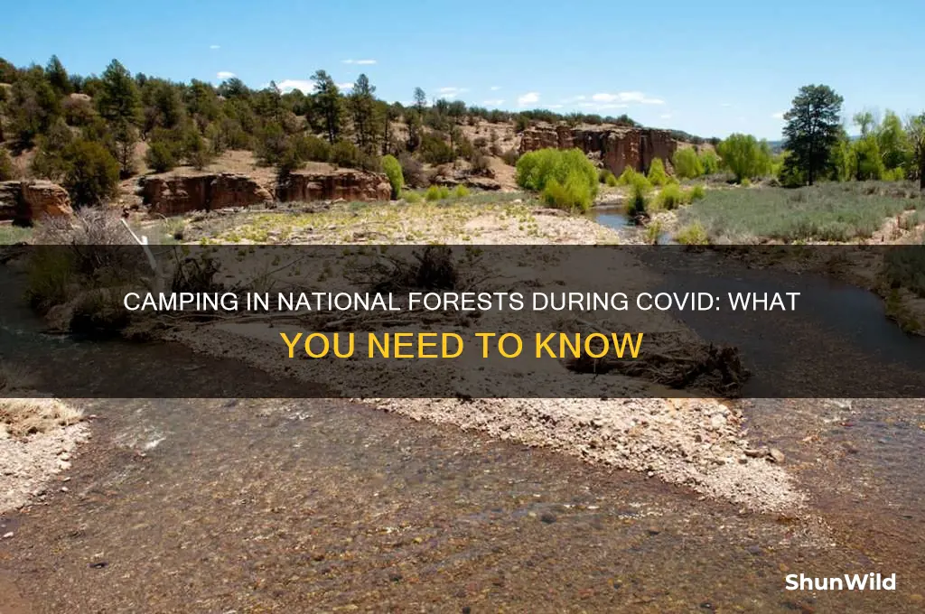 can i camp in national forest during covid