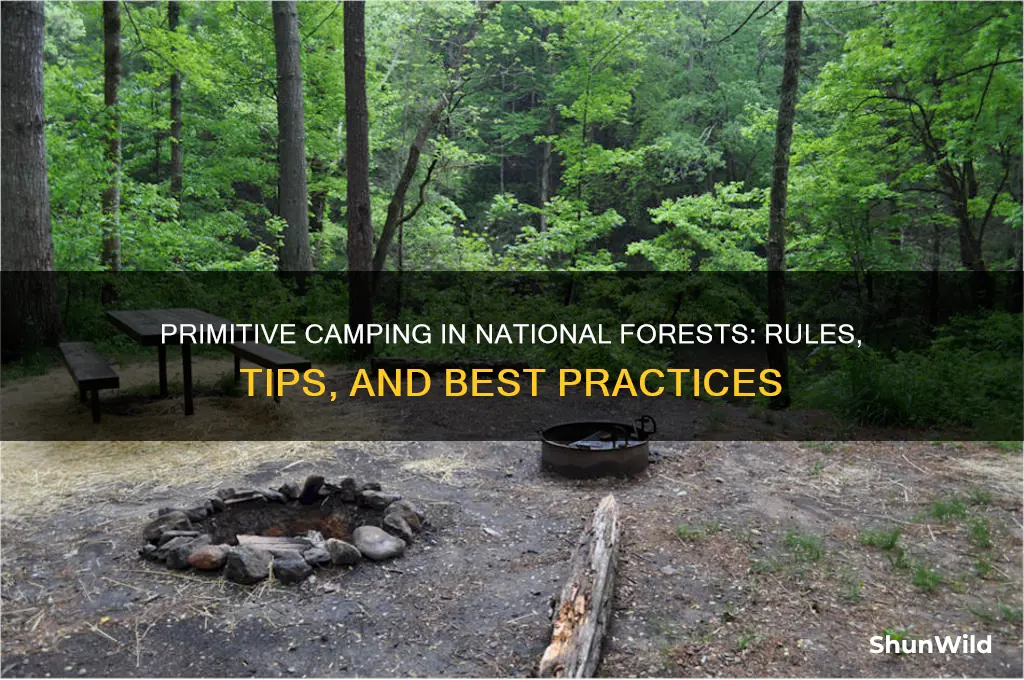 can i camp in national forests primative