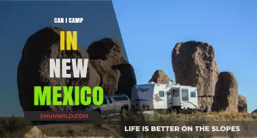 Exploring New Mexico's Campsites: A Guide to Camping in the Land of Enchantment