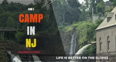 Exploring New Jersey's Best Camping Spots: Where to Camp in NJ