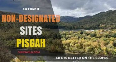 Camping Off the Beaten Path: Pisgah's Non-Designated Site Rules