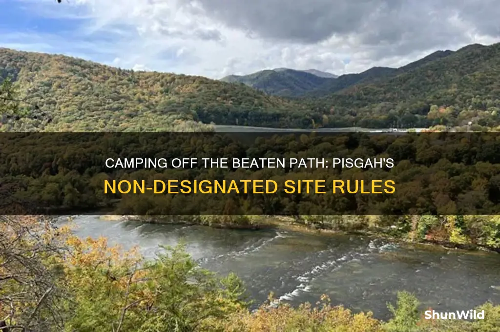 can i camp in non-designated sites pisgah
