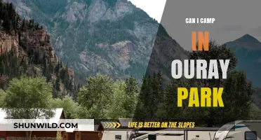 Camping in Ouray Park: Rules, Tips, and Best Spots to Stay