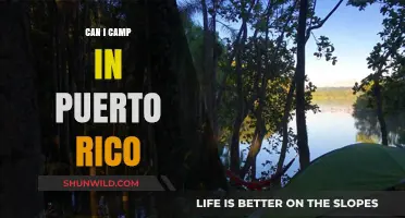 Exploring Puerto Rico's Camping Options: A Guide for Outdoor Enthusiasts