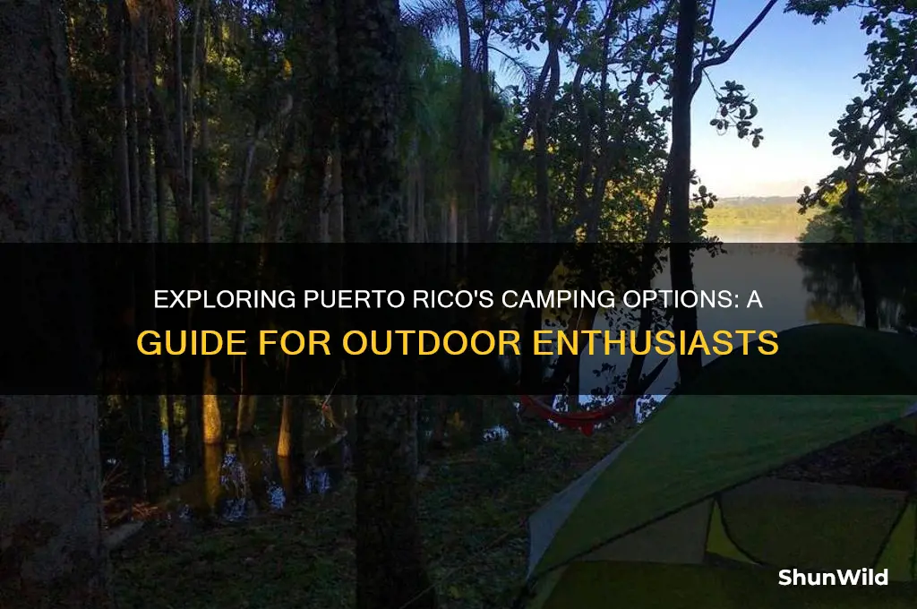 can i camp in puerto rico