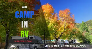 RV Camping 101: Essential Tips for Your First RV Adventure