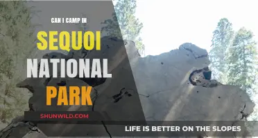 Camping in Sequoia National Park: Tips, Rules, and Best Spots