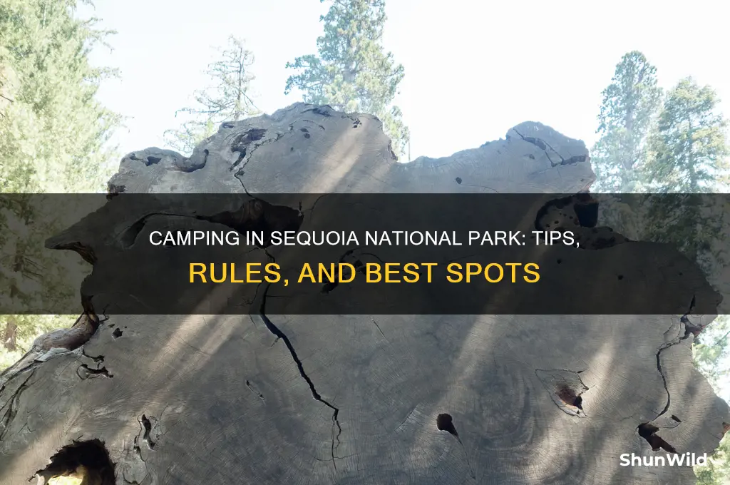 can i camp in sequoi national park