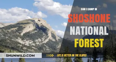Camping in Shoshone National Forest: Rules, Tips, and Best Spots