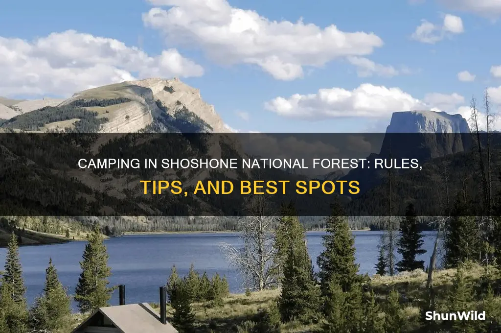 can i camp in shoshone national forest