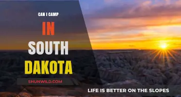 Exploring South Dakota: Best Camping Spots and Essential Tips