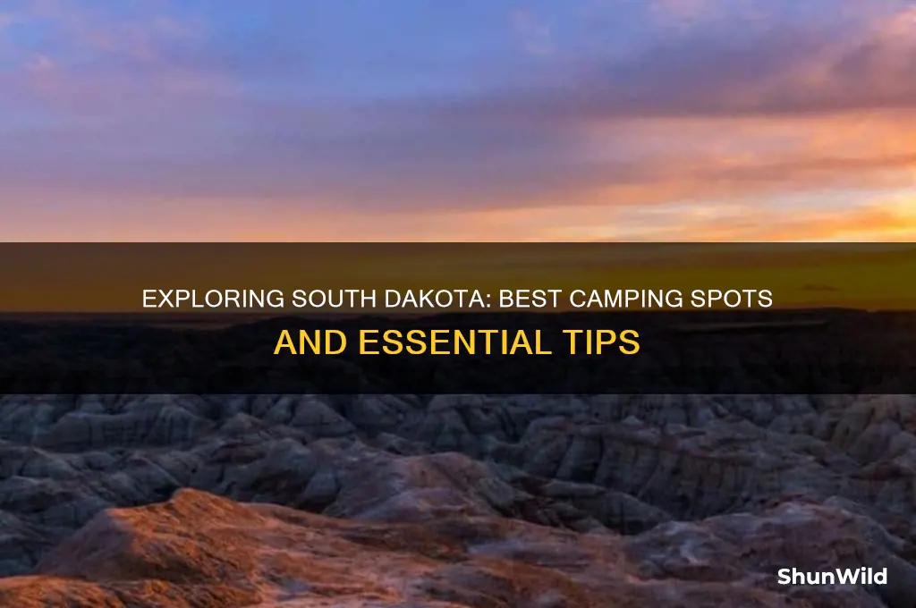 can i camp in south dakota