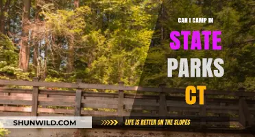 Camping in Connecticut State Parks: Rules, Tips, and Best Spots