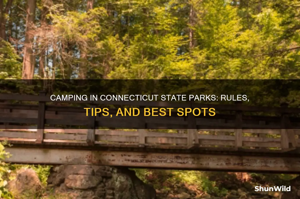 can i camp in state parks ct