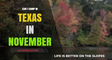 November Camping in Texas: Weather, Tips, and Top Spots to Explore