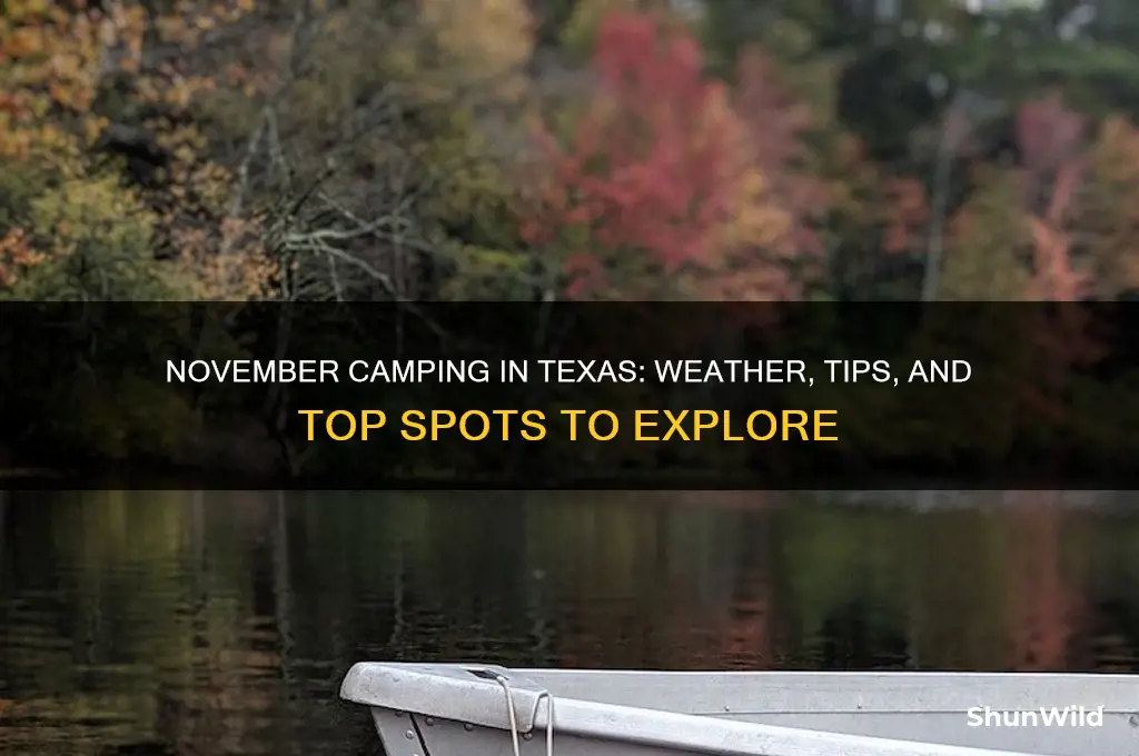 can i camp in texas in november