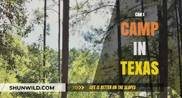 Exploring Texas: Best Camping Spots and Essential Tips for Outdoor Adventures