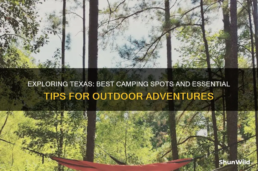 can i camp in texas
