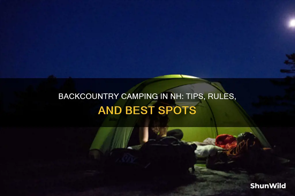 can i camp in the backcountry in nh