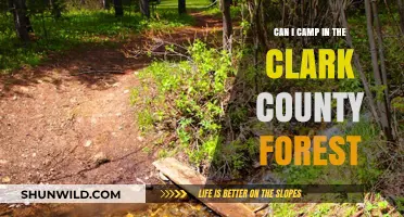 Exploring Clark County Forest: Camping Rules and Best Spots
