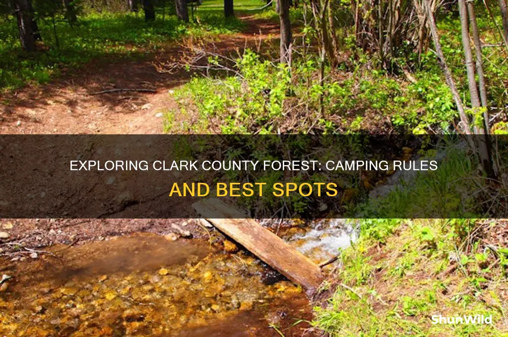 can i camp in the clark county forest