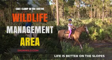 Camping in Goethe Wildlife Management Area: Rules, Tips, and Guidelines