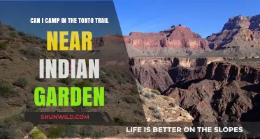 Camping on Tonto Trail Near Indian Garden: What You Need to Know