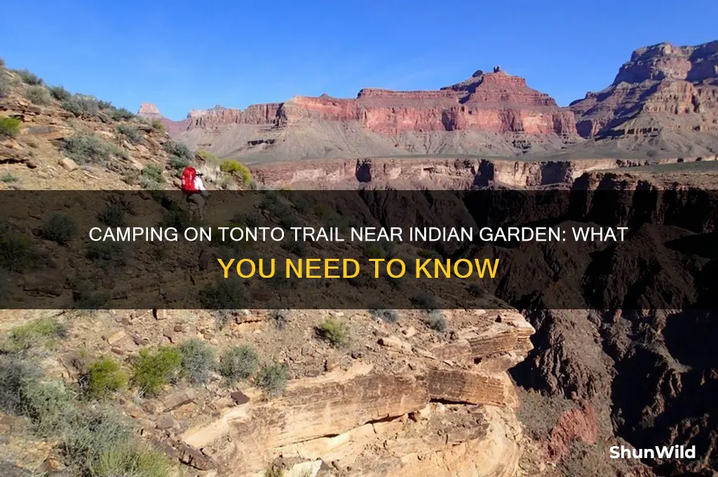 can i camp in the tonto trail near indian garden